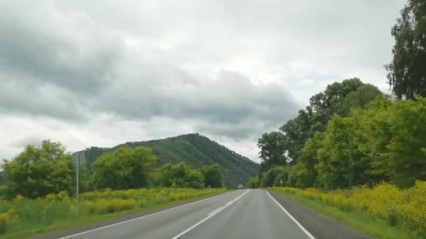 Paisagem de viagem de férias. Montanhas Altai russas. Região de Multa — Vídeo de Stock