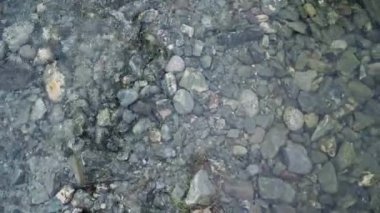 Pembe su birikintisi. Parlak çizmeler. Kirli güvenlik ayakkabıları. Yaz havası. Yürümek.