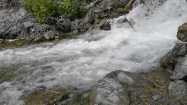 Tatil manzarası. Rus Altai dağları. Çoklu bölge. Tatil evde.