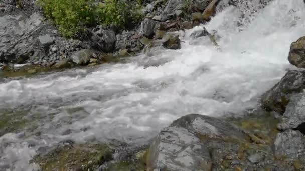 Paisagem de férias. Montanhas Altai russas. Região de Multa. Férias em casa — Vídeo de Stock