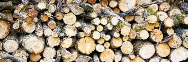 Holzofen. Holzstapel Textur Hintergrund. Bäume lagern. Laubholzstapel — Stockfoto