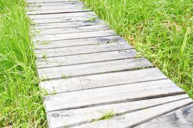 Ormanda tahta patika. Uzun yol. Yol yürüyüş tahtası.