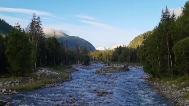 Paesaggio di vacanza. Montagne russe dell'Altai. Regione Multa. Vacanze a casa — Video Stock