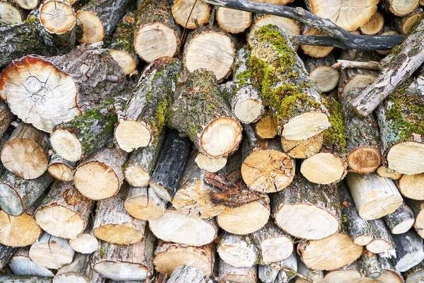 木のチョップストーブ。木材の質感の背景。木の店。硬木杭打ち — ストック写真