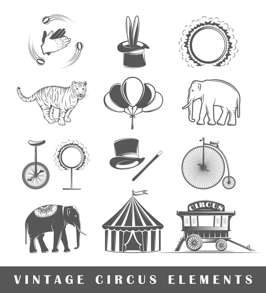 Set of elements of the circus — Stock Vector