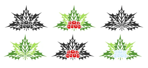 Collection Mistletoe Isolated White Background Christmas Concept Design Elements Hmas — Stock Vector