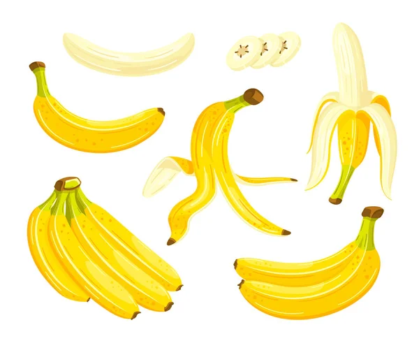 Bananas Bonitas Estilo Cartoon Design Plano Conjunto Bananas Amarelas Isoladas — Vetor de Stock