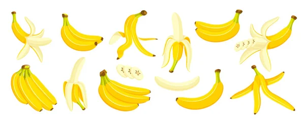 Beautiful Bananas Cartoon Style Flat Design Set Yellow Bananas Isolated — Stock Vector