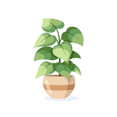 Çiçek saksısındaki ev bitkisi beyaz arka planda düz bir şekilde izole edilmiş. Vektör illüstrasyonu