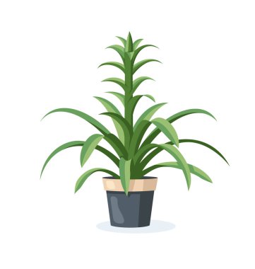 Home plant in flower pot isolated on white background in flat style. Vector illustration clipart