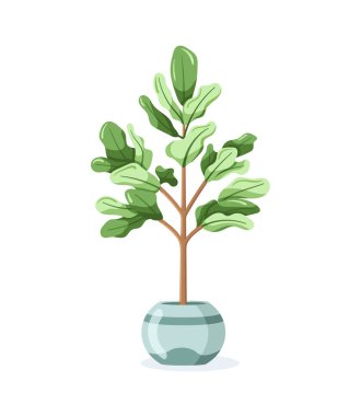 Çiçek saksısındaki ev bitkisi beyaz arka planda düz bir şekilde izole edilmiş. Vektör illüstrasyonu