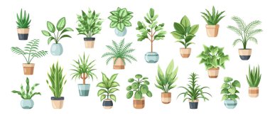 Set of flowers in pots isolated on white background in flat style. Vector illustration clipart