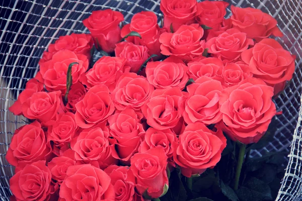 Bouquet of roses — Stock Photo, Image