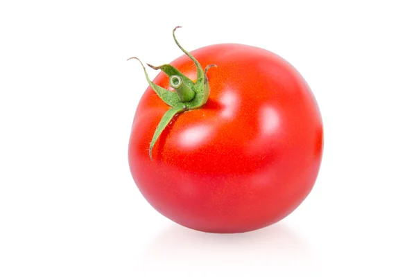 Tomate Vermelho — Fotografia de Stock