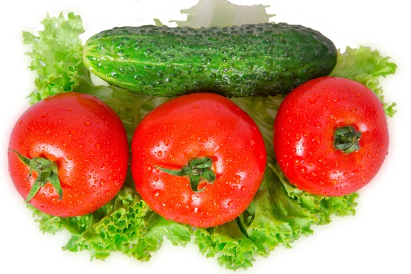 Три помідори і огірок — стокове фото