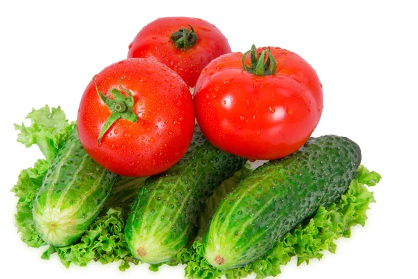 Três pepinos e três tomates — Fotografia de Stock