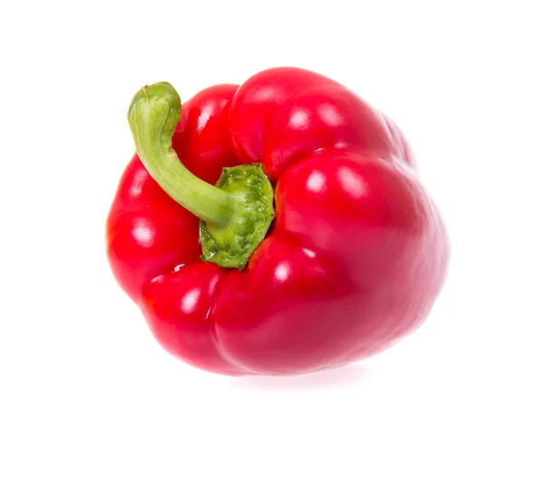 Red pepper. — Stock Photo, Image