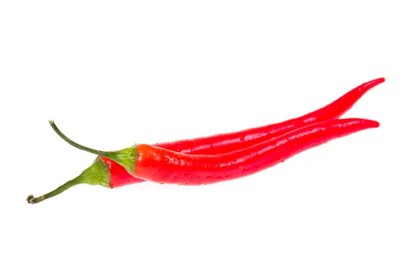 Two chili peppers — Stock Photo, Image