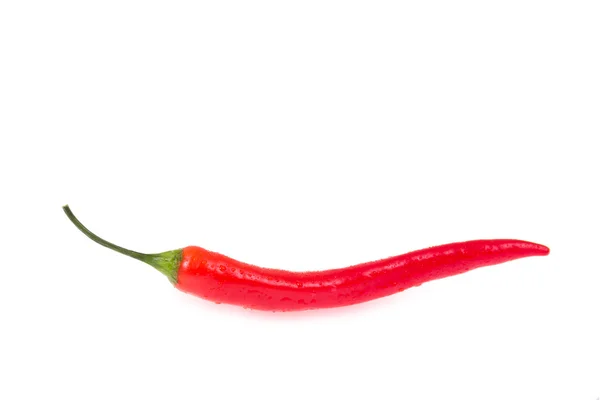 Chili peppers. — Stock Photo, Image