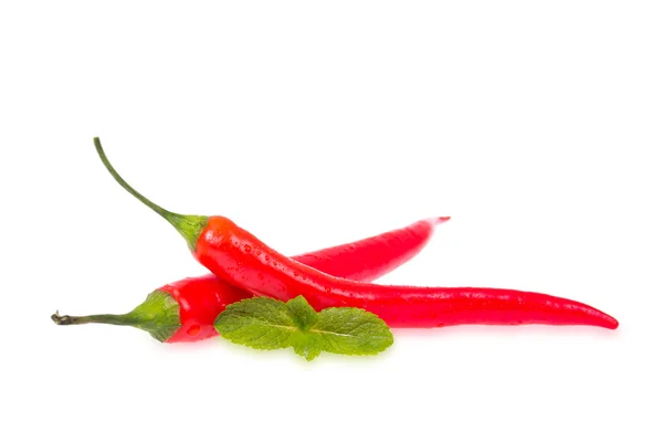 Two chili peppers — Stock Photo, Image