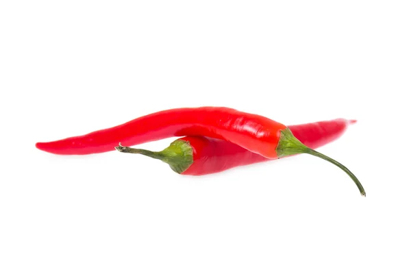 Two chili peppers — Stock Photo, Image
