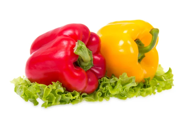 Red and yellow peppers — Stock Photo, Image