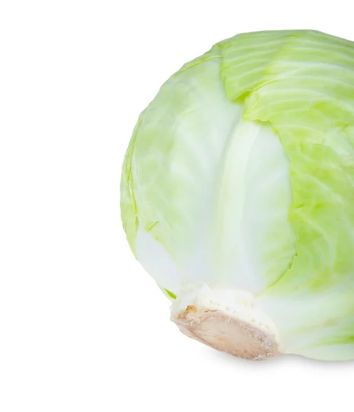 Fresh green cabbage — Stock Photo, Image