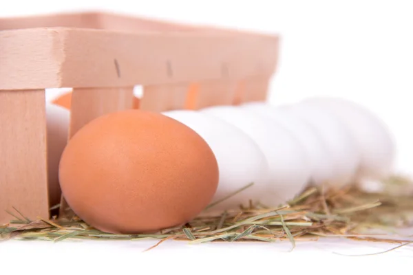 Eggs — Stock Photo, Image