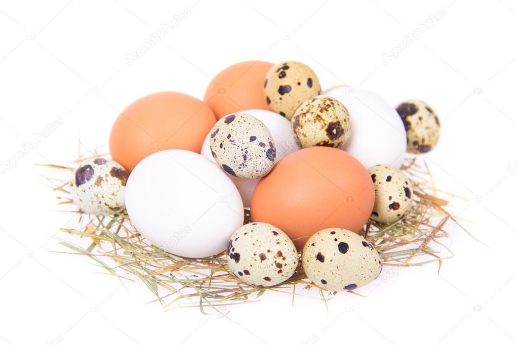 Eggs