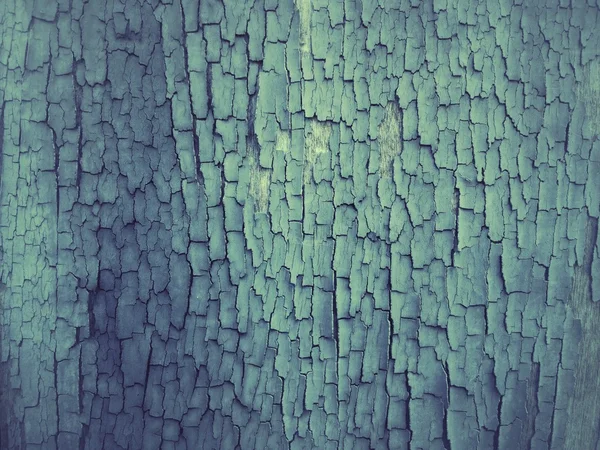Grunge trä textur — Stockfoto