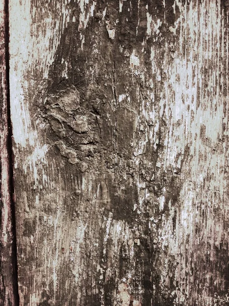 Grunge wood texture — Stock Photo, Image