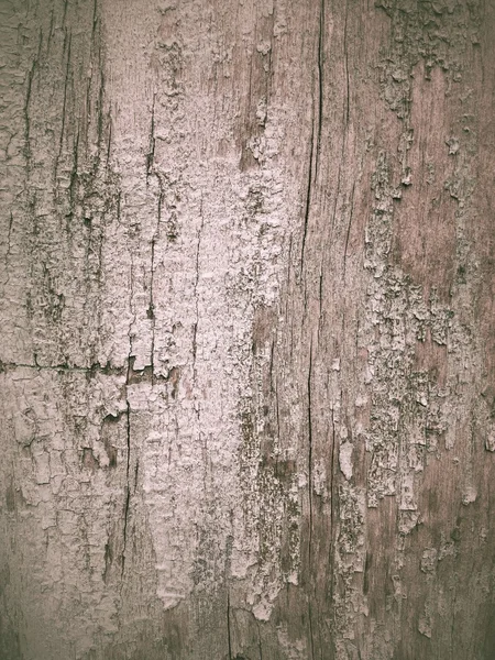 Grunge wood texture — Stock Photo, Image