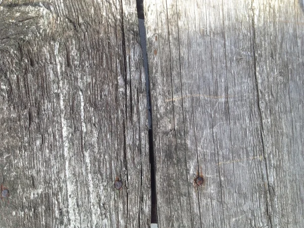 Grunge wood texture — Stock Photo, Image