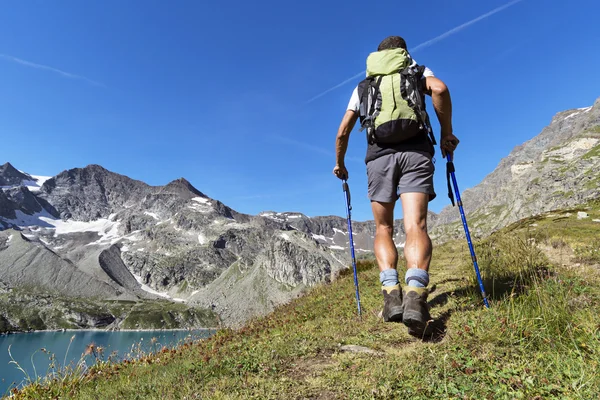 Trekking sulle Alpi — Foto Stock