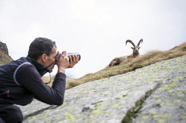 Wildlife fotograaf — Stockfoto