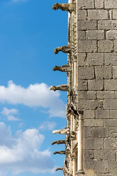 Bourges kathedrale wasserspeier, frankreich — Stockfoto