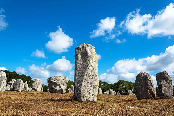 Menhíreket összehangolása. Carnac, Nagy-Britannia — Stock Fotó