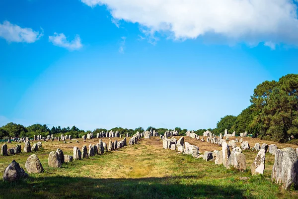 Menhíreket összehangolása. Carnac, Nagy-Britannia — Stock Fotó