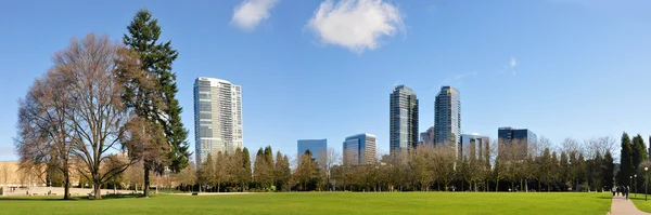 Centrum parku bellevue — Zdjęcie stockowe