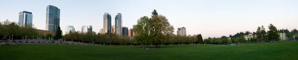 Panoramic view of Bellevue downtown park at the sunset Royalty Free Stock Images