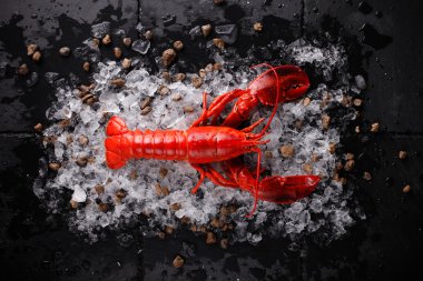 Buz, üstten görünüm taze ıstakoz ile kırmızı ıstakoz