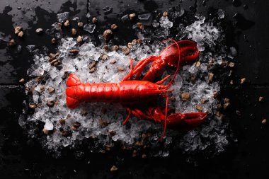 Buz, üstten görünüm taze ıstakoz ile kırmızı ıstakoz