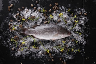Buzda balık, koyu arka plan ile taze balık