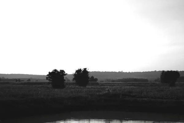 Campos Arroz Con Fondo Montaña Blanco Negro — Foto de Stock