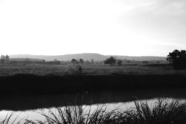 Reisfelder Mit Berghintergrund Auf Schwarz Weiß — Stockfoto