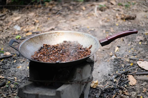 Salt-roasted crickets on the pan, local food of Thailand