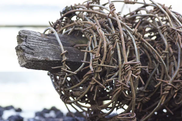 Hank of barbed wire on the stick. — Stock Photo, Image