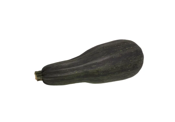 One ripe zucchini. — Stock Photo, Image