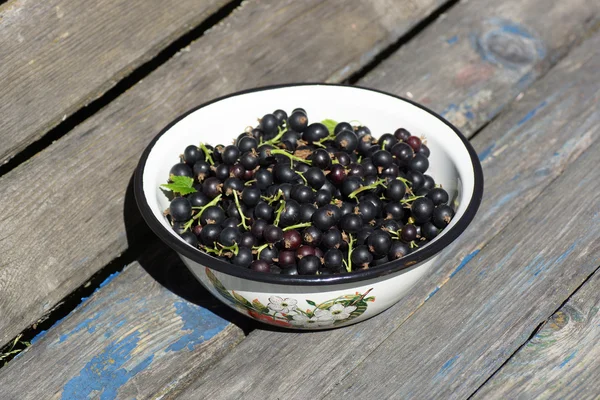 Svarta vinbär i en skål på bänken. — Stockfoto