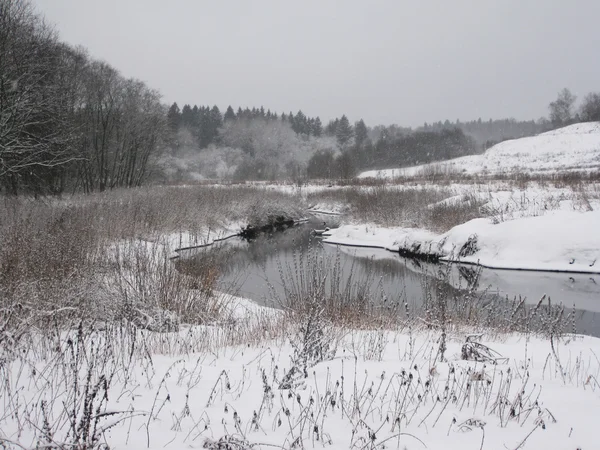 Río en invierno. Playa en la nieve . — Foto de Stock